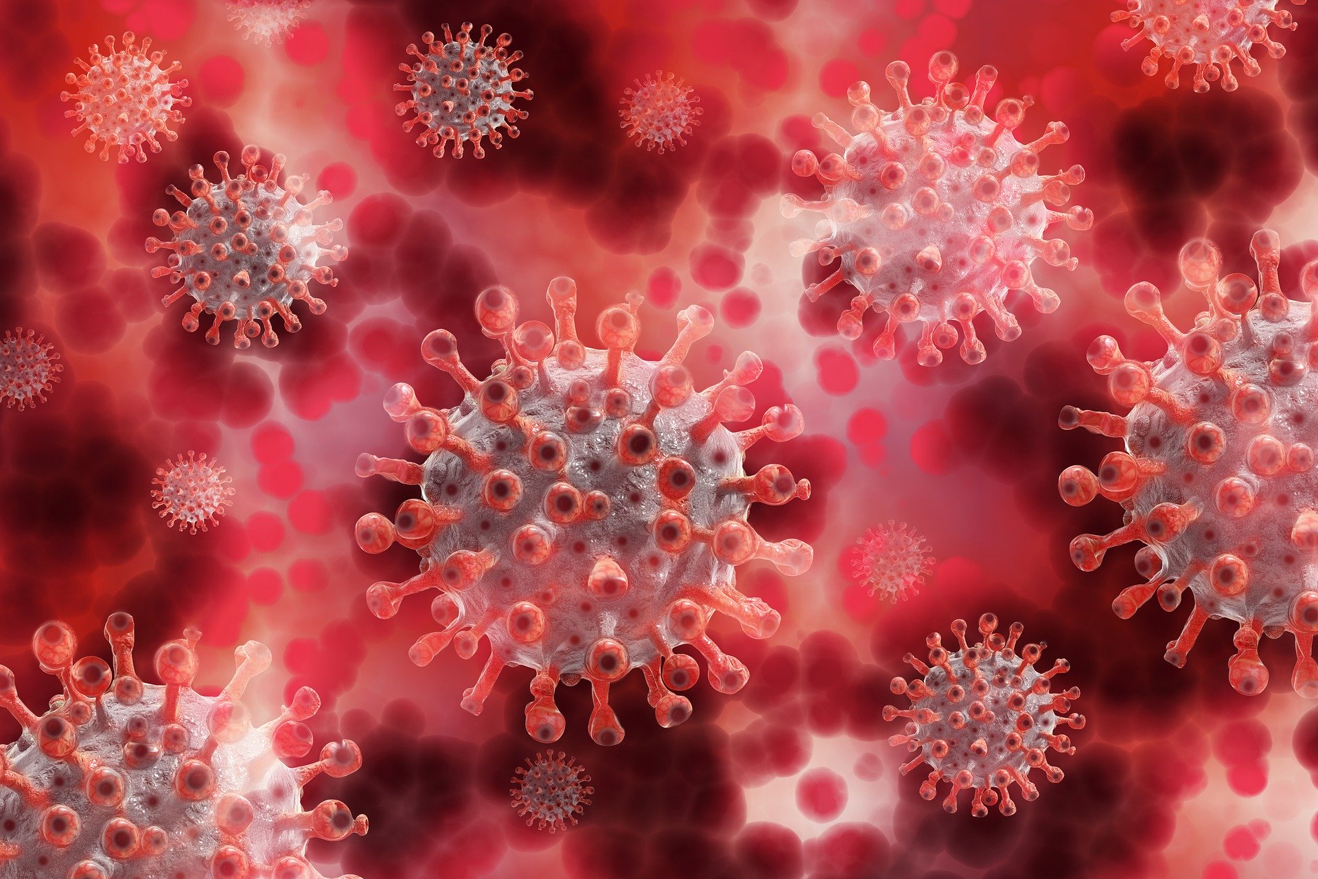 Bilanț COVID-19: Aproximativ 800 de noi infectări cu SARs-CoV-2 la 8.000 de teste! 419 de pacienți rămân internați la ATI