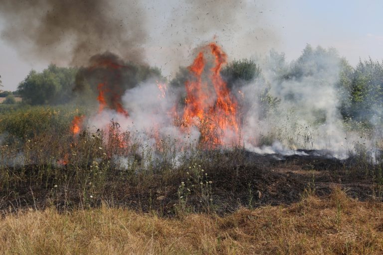 S-a emis mesaj Ro-Alert! Pompierii luptă cu un incendiu de vegetație în zona Ghencea! – VIDEO