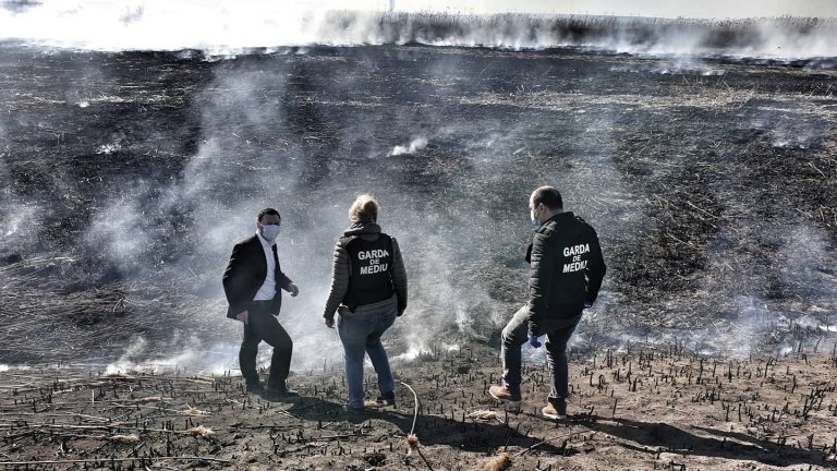 UPDATE. ISU, în alertă! Incendiu în apropierea Capitalei, în zona Periș. Ce anunță Ministerul Mediului – VIDEO