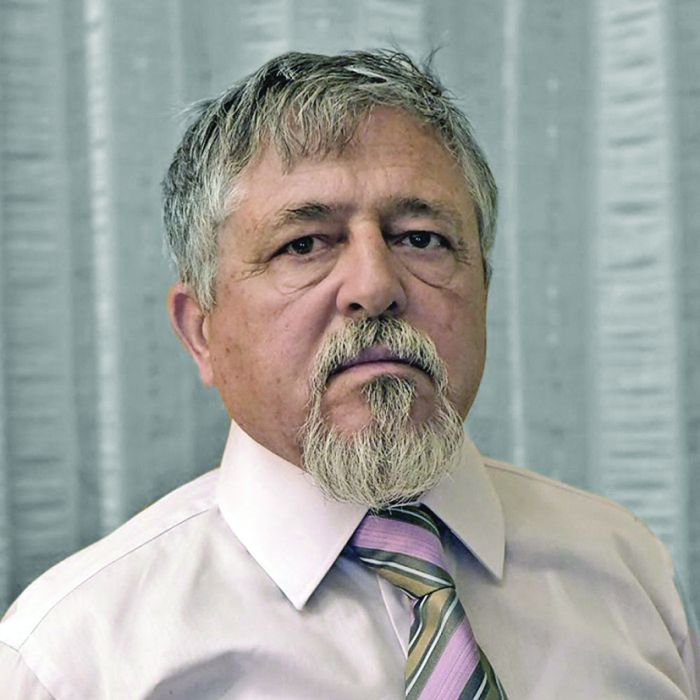 iordache - Ziarul National