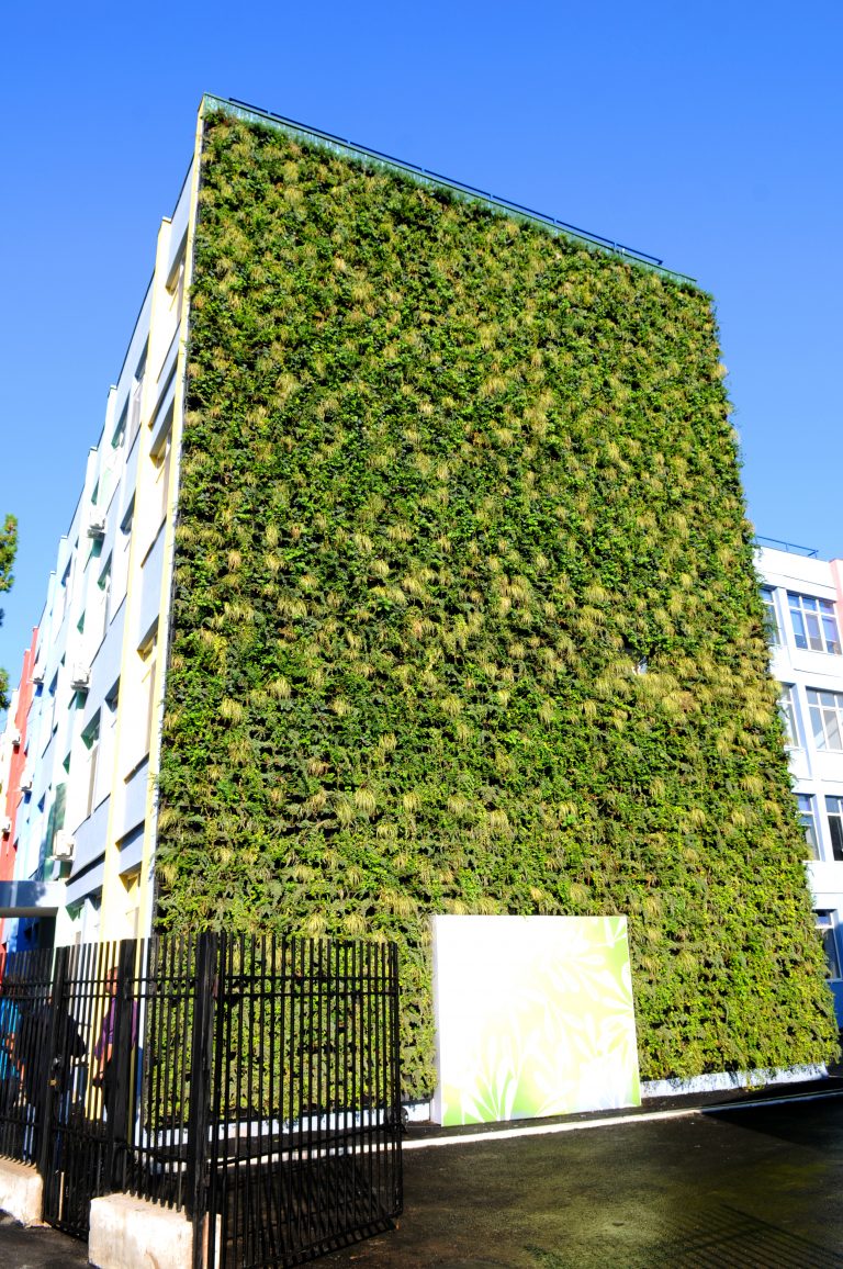 Realizare de excepție pentru Totul Verde.: mini grădină verticală la Liceul Onicescu