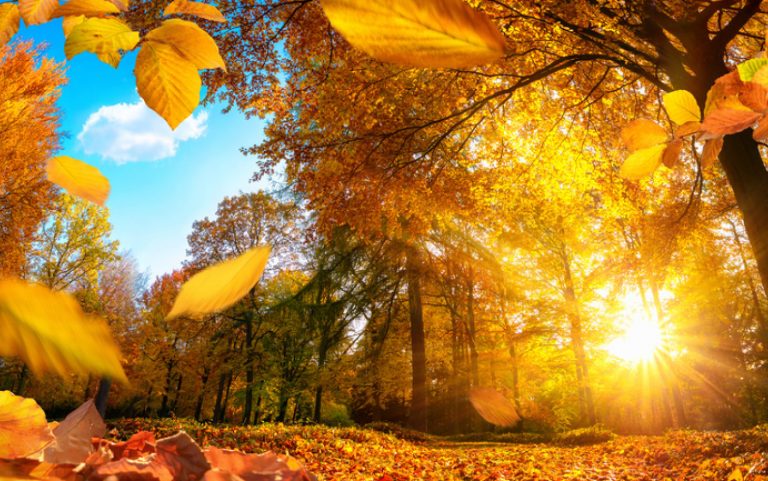 Vremea se răcește în toată țara. Prognoza meteo pentru 18 septembrie 2020