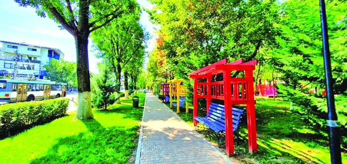Toamna în Sectorul 4! Mai Verde ca niciodată