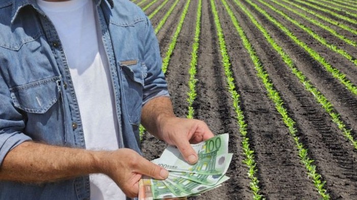 Start la plata avansului subvențiilor agricole 2020