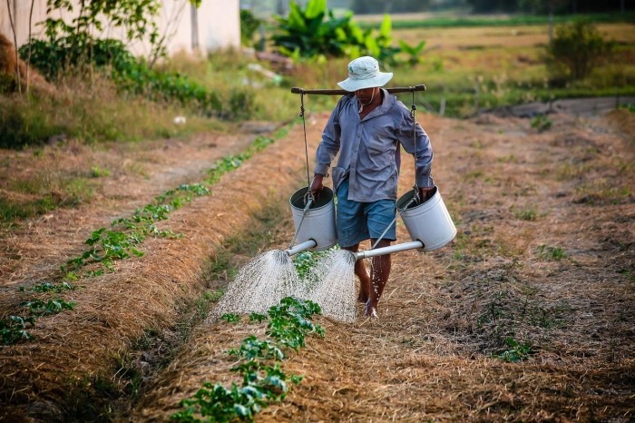 Agricultură cu probleme