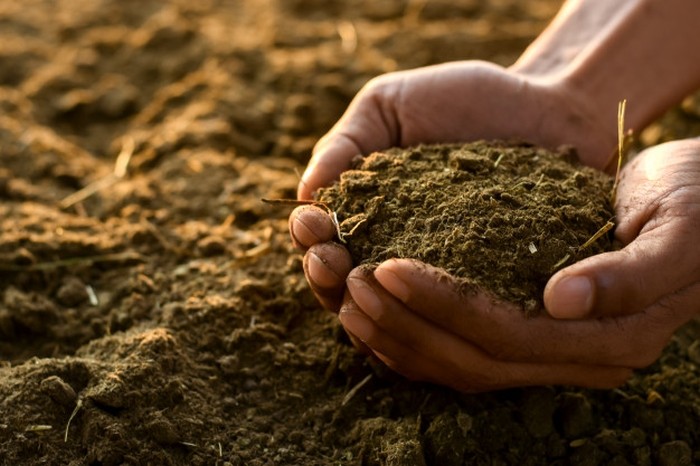Oportunități în domeniul agricol, pentru România