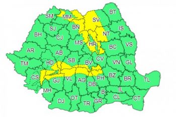anm - Ziarul National