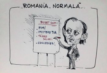 caricatura lui Firea - Ziarul National caricatura lui Firea