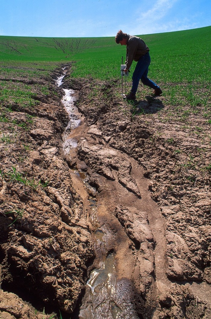 România va avea o lege pentru protecția solului