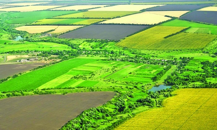 Marți, 13. Intră în vigoare restricțiile la vânzarea terenurilor agricole