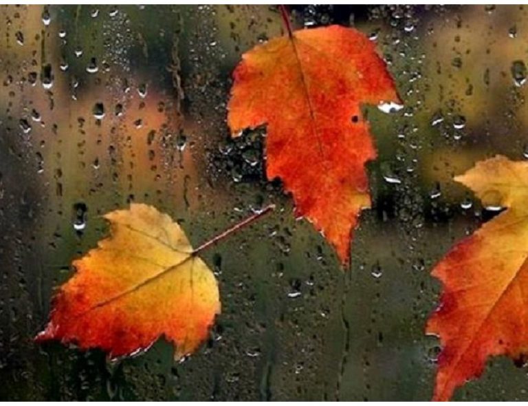 Meteo, 30 octombrie. Vremea schimbă foaia, temperaturile scad simțitor