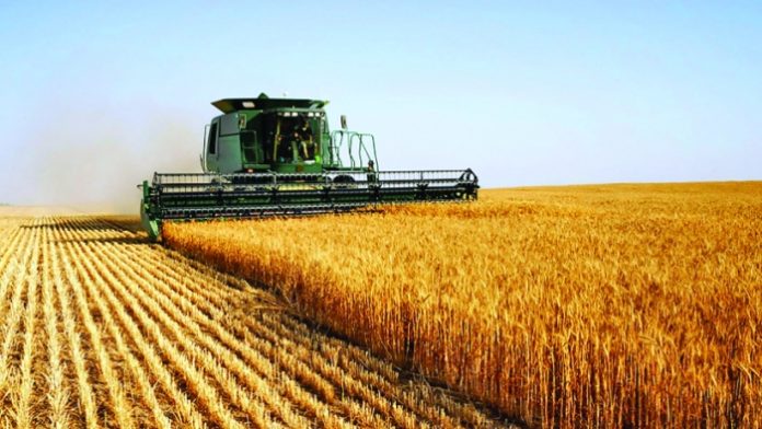 rom-nia-al-aptelea-produc-tor-agricol-al-ue-ziarul-national