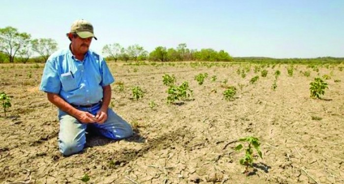 Pagube produse de secetă costă statul 400 milioane de euro