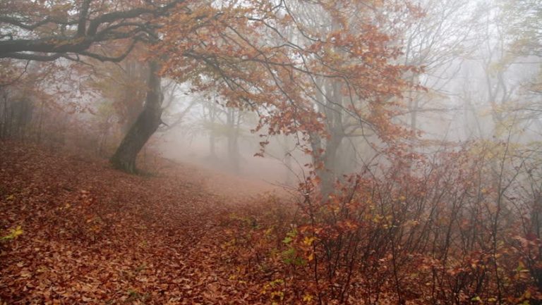 Meteo, 25 noiembrie. Ce temperaturi sunt anunțate pentru miercuri