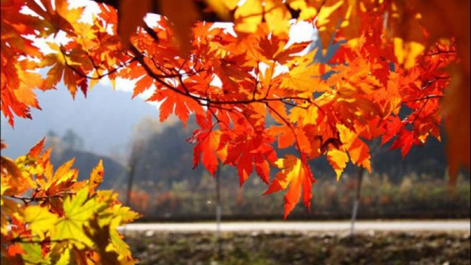 Meteo, 23 noiembrie. Cum va fi vremea în prima zi a săptămânii