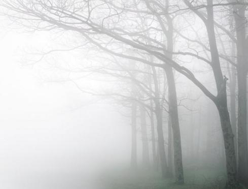Meteo. Temperaturile maxime anunțate pentru ziua de sâmbătă, 19 decembrie