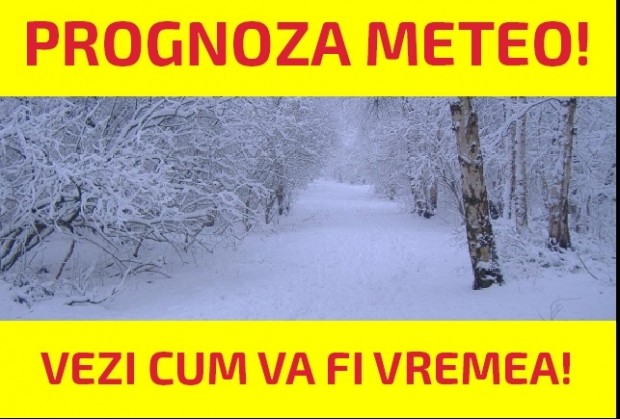 ninge