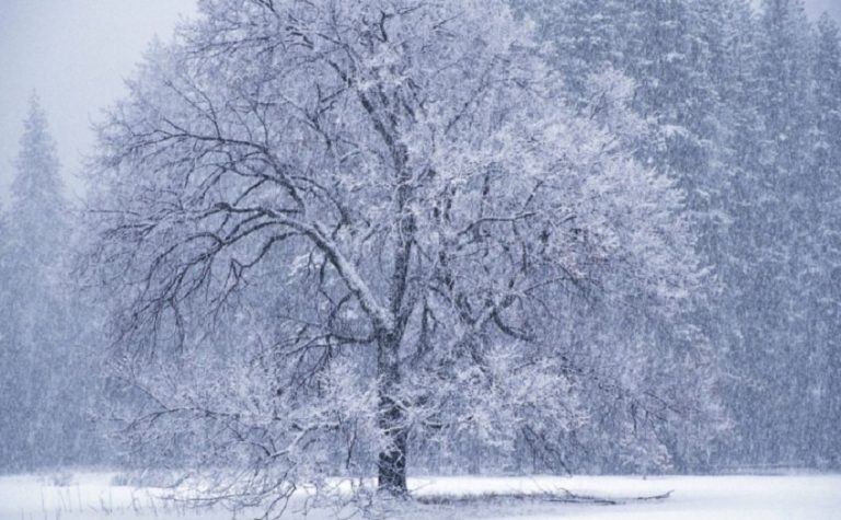 Meteo, 26 decembrie. Vremea se schimbă semnificativ