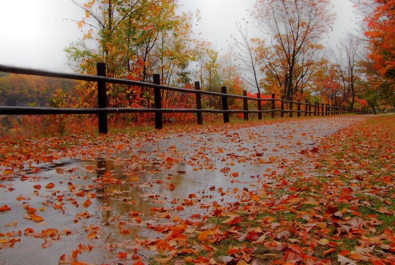 Meteo, 4 decembrie. Vremea se încălzește. Ce zone se află sub COD GALBEN de vânt