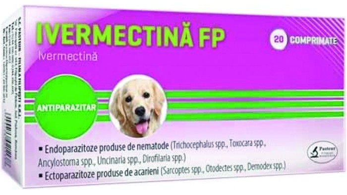 Războiul medicamentelor Covid. Veterinarii atacă!