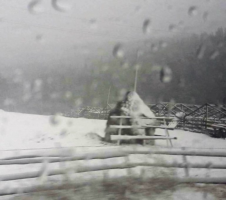 Meteo, 12 ianuarie. Vreme închisă. Nu vor lipsi ninsorile, dar nici ploile