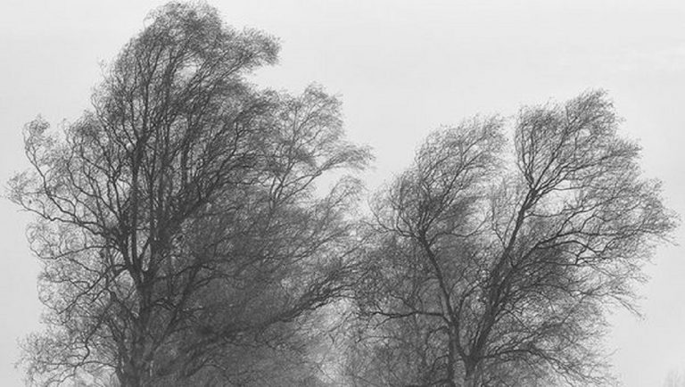 Meteo, 27 februarie. Vremea se schimbă. Ce anunță ANM pentru Capitală
