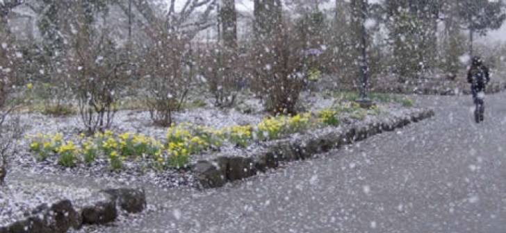 Meteo, 12 martie. Cum va fi vremea vineri. Zonele aflate sub avertizare COD GALBEN