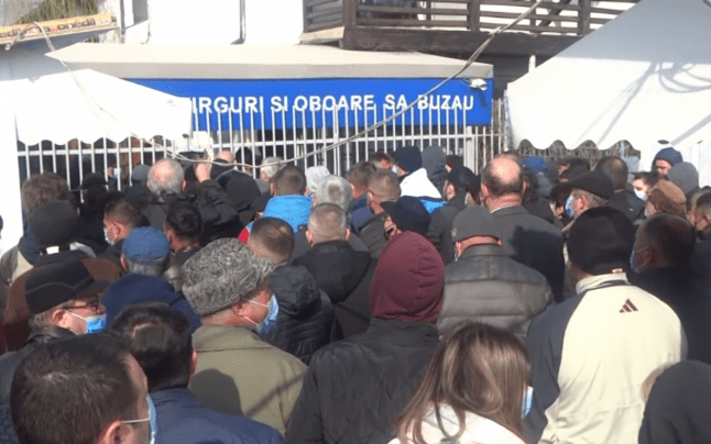 buzau talcioc