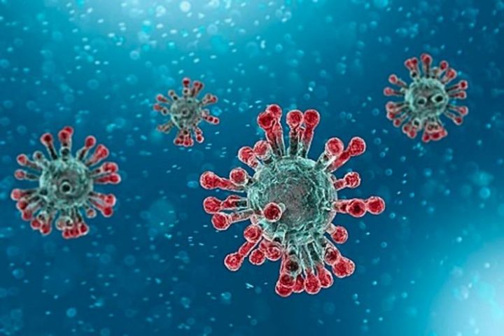 coronavirus_varianta