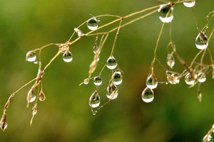 Meteo, 15 aprilie. Temperaturi scăzute. Nu lipsesc precipitațiile și nici vântul