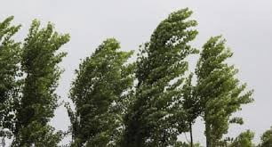 Alertă meteo! S-a emis COD GALBEN. Zonele vizate de atenționarea ANM