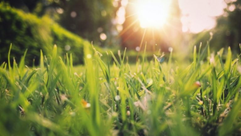 Meteo, 22 mai. Cum va fi vremea sâmbătă și până la cât urcă temperaturile
