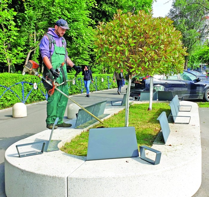 Totul Verde. continuă operațiunea de curățenie din preajma blocurilor