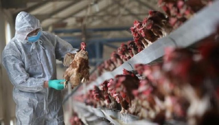 Gripa aviară H10N3. Un prim caz de transmitere la om detectat în China
