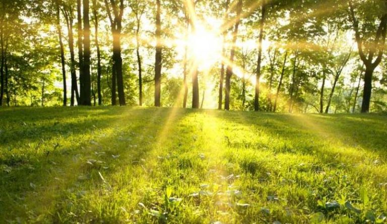 Meteo, 28 iunie. Cum va fi vremea în prima zi a săptămânii. Temperatura maximă în Capitală