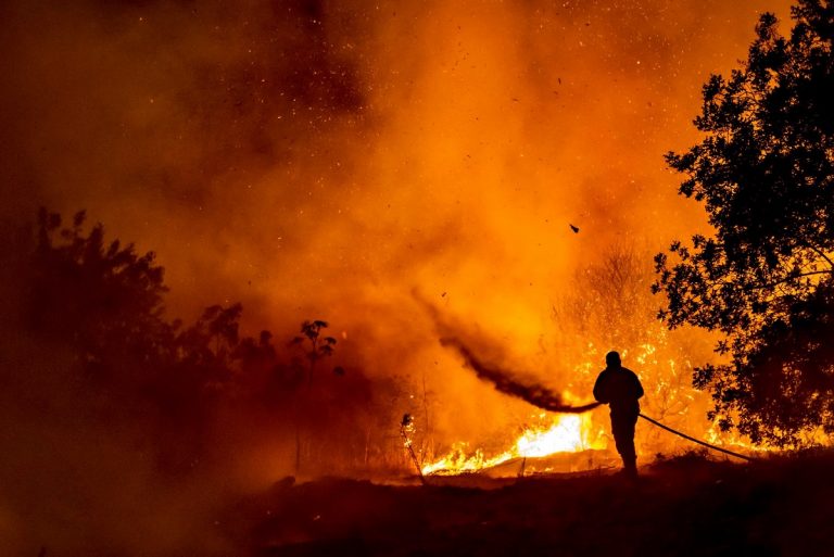 Europa poate lua foc din cauza caniculei. Țările cele mai expuse incendiilor