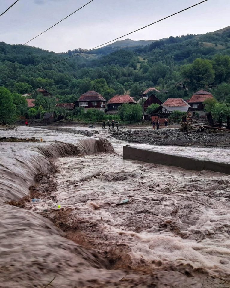 Cod portocaliu de viituri, în România! Ce judeţe sunt afectate