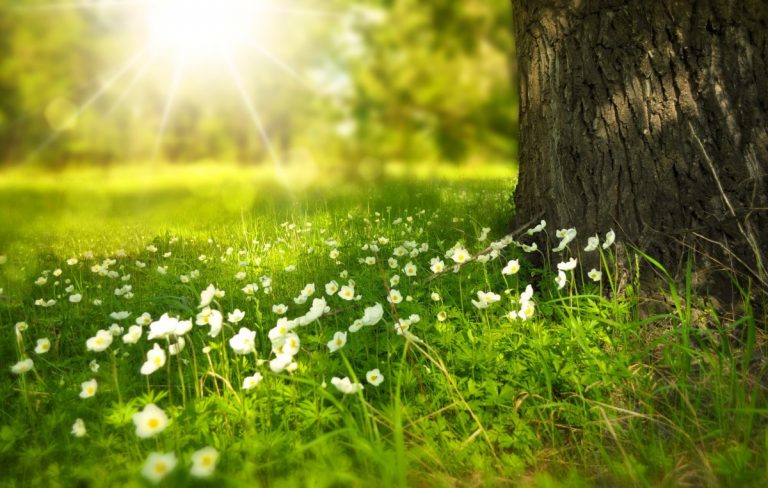 Meteo, 5 iulie. Cum va fi vremea în prima zi a săptămânii. Temperatura maximă în Capitală