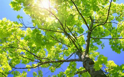Meteo, 6 iulie. Vreme călduroasă în Capitală. Până la cât urcă temperaturile