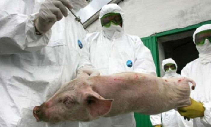 Medicii veterinari privați, trimiși să controleze gospodăriile populației