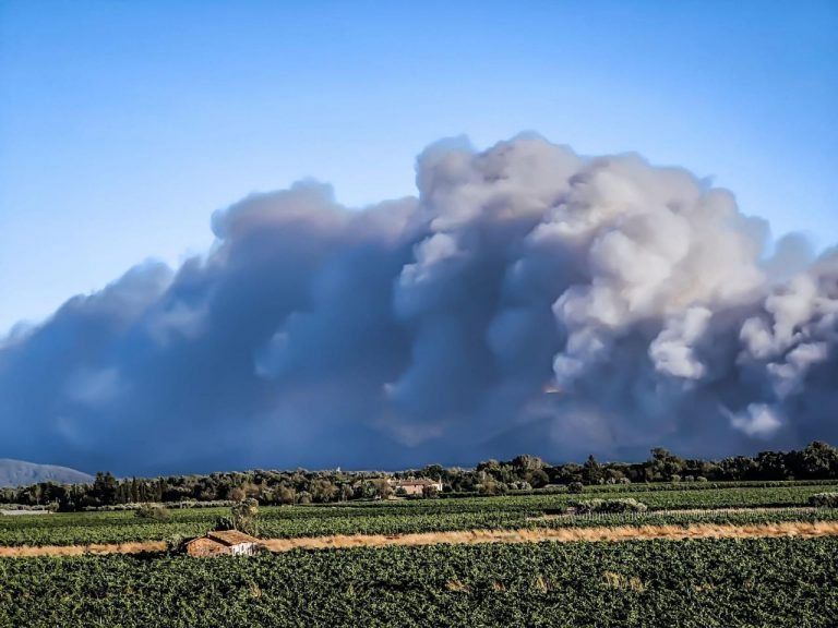 Uriaș incendiu în Franța, mii de hectare ard. Emmanuel Macron vine la locul sinistrului