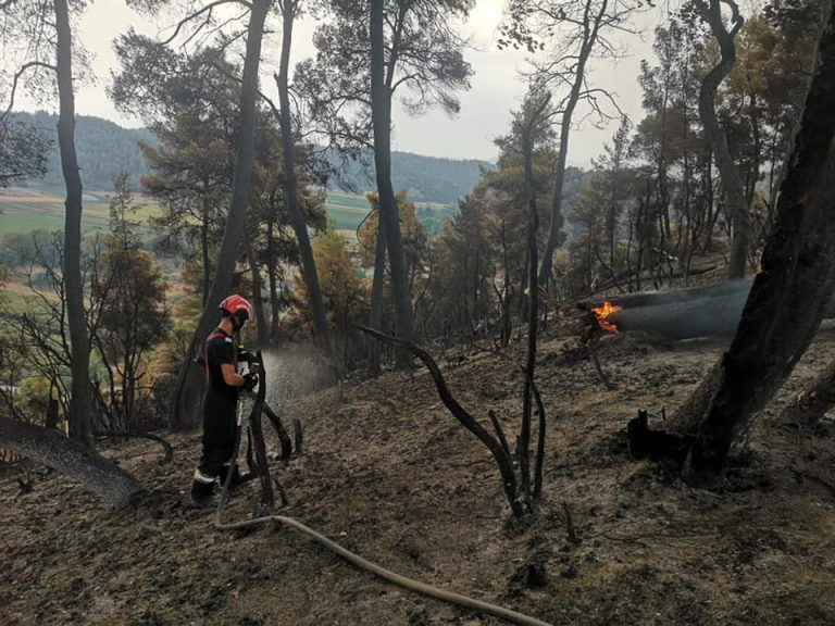 Gesturi de suflet din partea grecilor. Surpriza care i-a emoționat pe pompierii români, venită de la un copil – FOTO