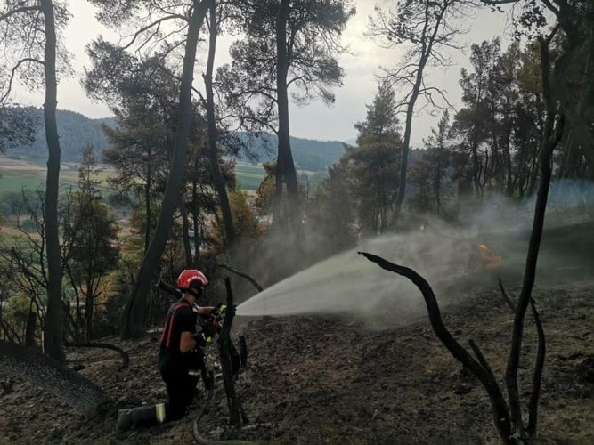 incendii gr - Ziarul National