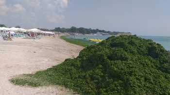 plaja 3 - Ziarul National