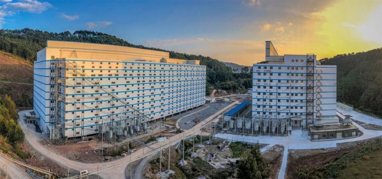 China construiește hoteluri cu 13 etaje pentru porci