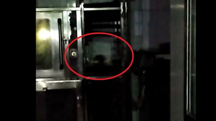 Șobolan filmat ”în vizită” într-o patiserie. Unde au fost surprinse imaginile – VIDEO