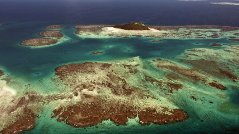 zealandia