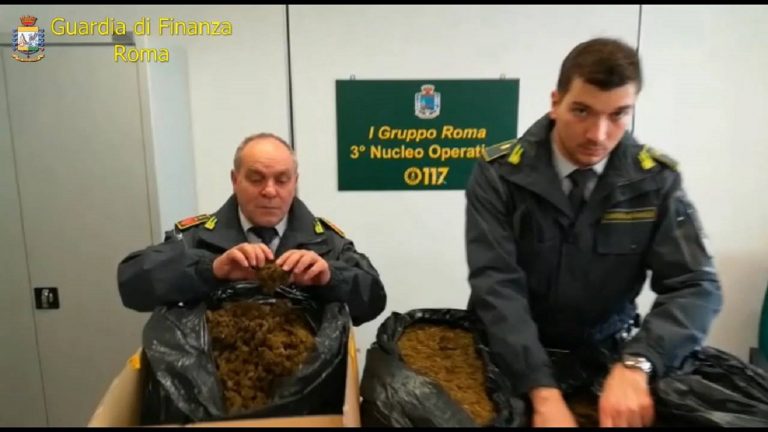 Italia. Poliția sparge o rețea de trafic international de cocaină, condus de ‘Ndrangheta