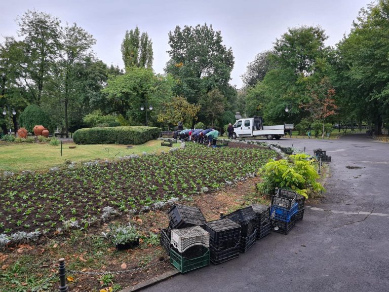 Val de reacții după ce primarul Nicușor Dan a anunțat că s-au plantat flori în Cișmigiu: ”Înseamnă că în decembrie aduce nisip și palmieri”