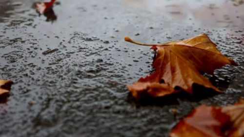 Vești de ultim moment de la meteorologi. Vreme deosebit rece și intensificări ale vântului. S-a emis un COD GALBEN